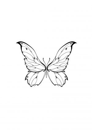 Tatouage Papilio machaon - Pièce Unique
