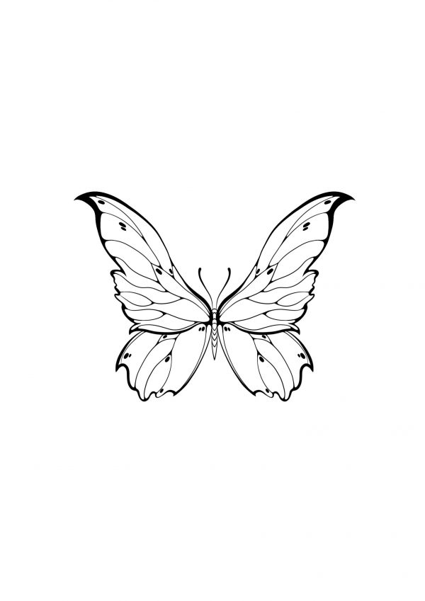 Tatouage Papilio machaon - Pièce Unique